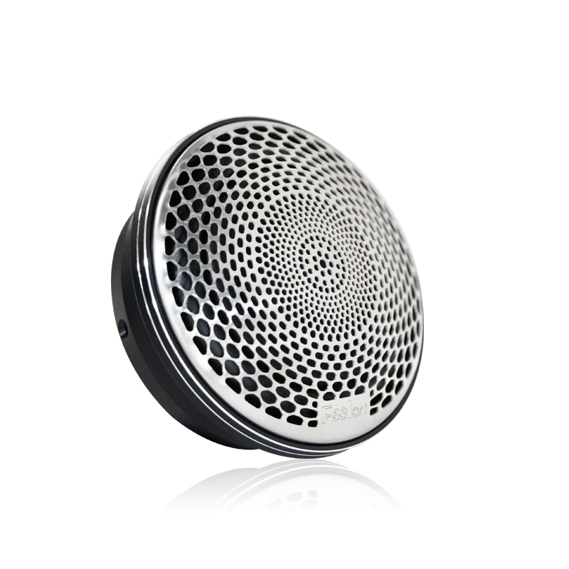 Ceiling Speaker